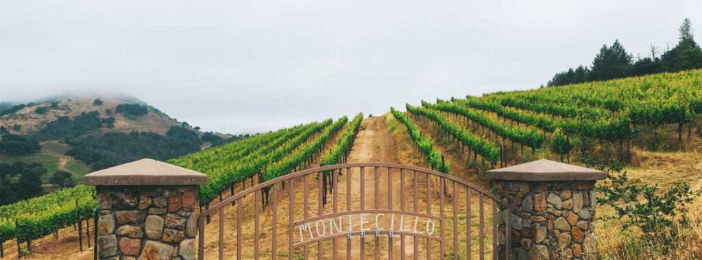 Montecillo Vineyard gate entrance