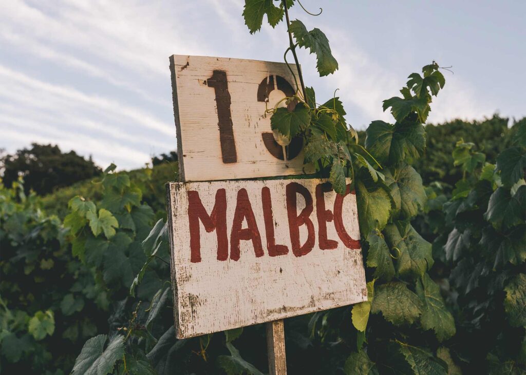 sign that says 13 MALBEC in a northern california vineyard