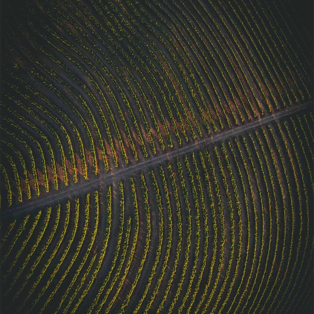 birds eye view of a road running through Wildwood Vineyard
