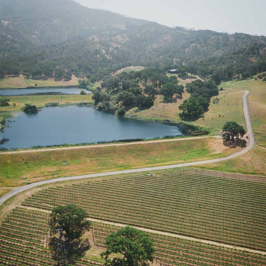 drone view of the lake at Hine Ranch Vineyard