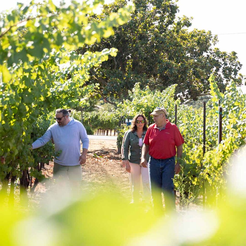 winemakers walking through vineyard