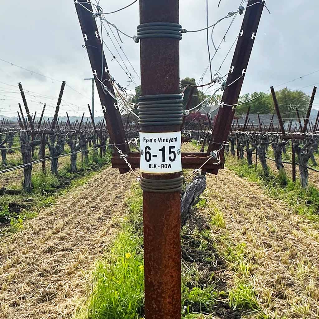 Vineyard row marker at Ryan’s Vineyard reading “Block 6–15,” with bare vines stretching across the rows in early season.